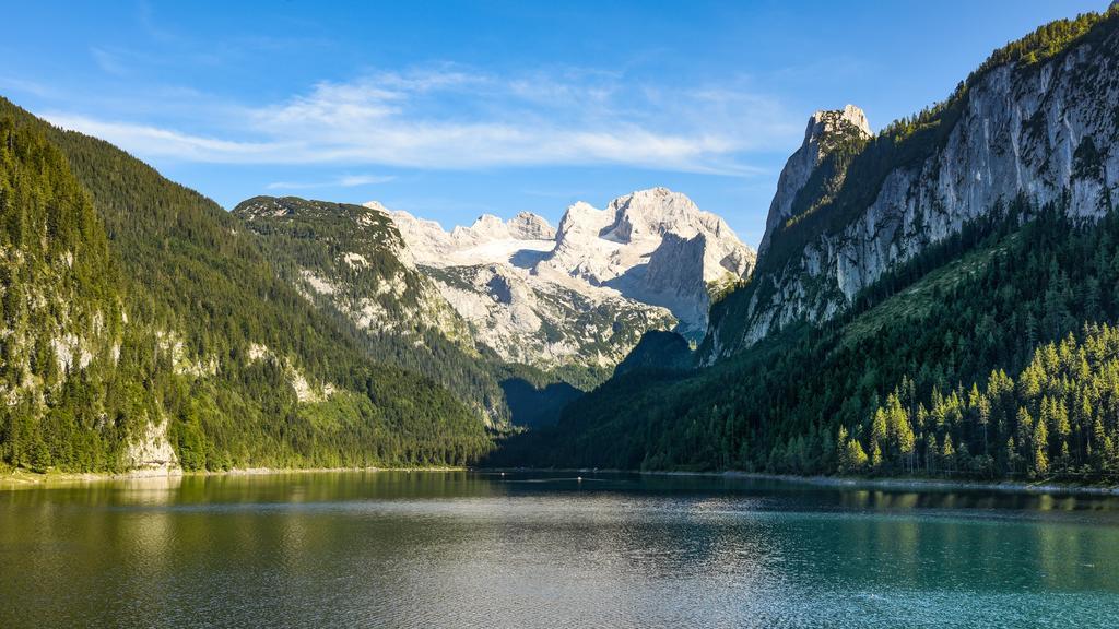 Gasthof Waldwirt Русбах-ам-Пас-Гшютт Экстерьер фото